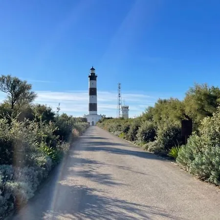 Avec Terrasse Au Les Sables Vignier - Api-1-52-749 Camping Saint-Georges-d'Oleron