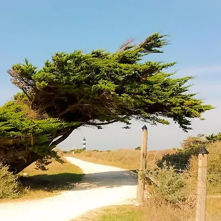 Avec Terrasse Au Les Sables Vignier - Api-1-52-749 Saint-Georges-d'Oleron