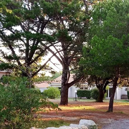 Avec Terrasse Au Les Sables Vignier - Api-1-52-749